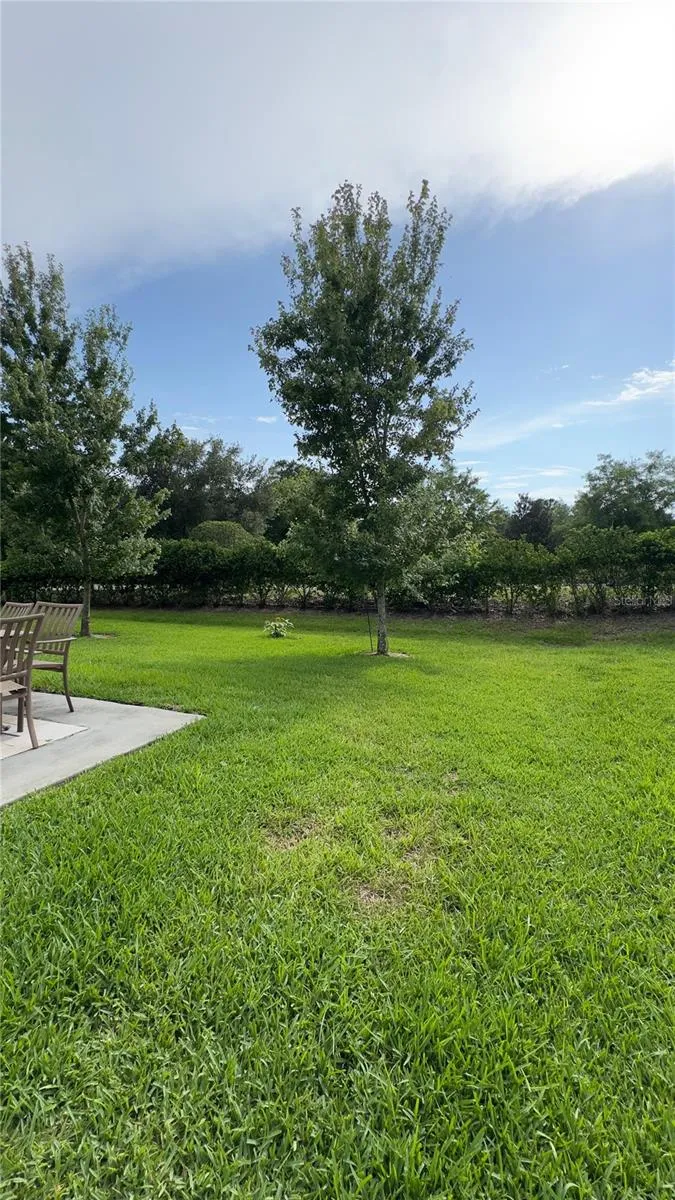 1964 GREENBRIAR TERRACE Davenport, FL 33837