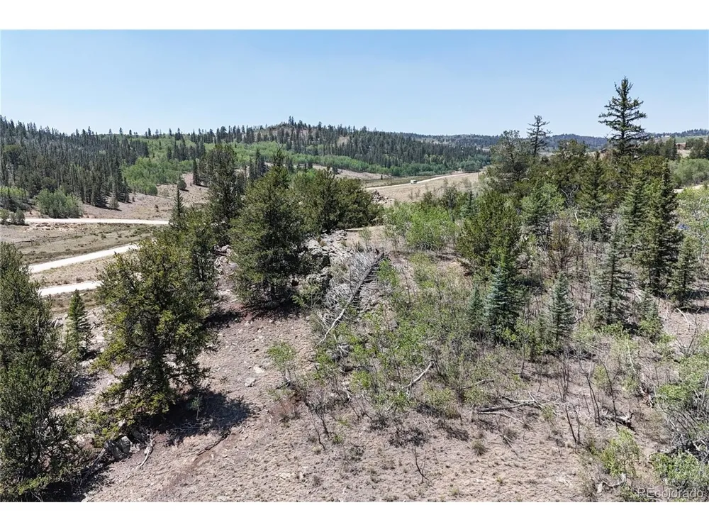 4546 Remington Road Como, CO 80456