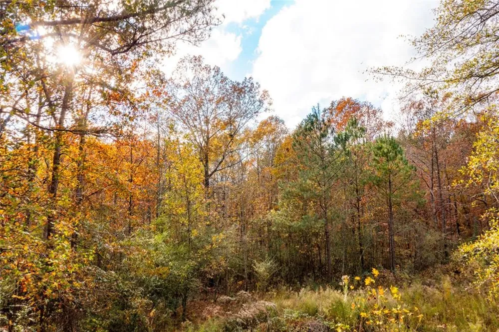 301 River Place Drive NW Calhoun, GA 30701