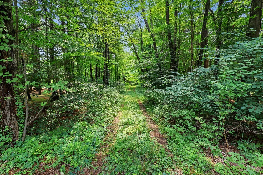 Blair Street West Olive, MI 49460
