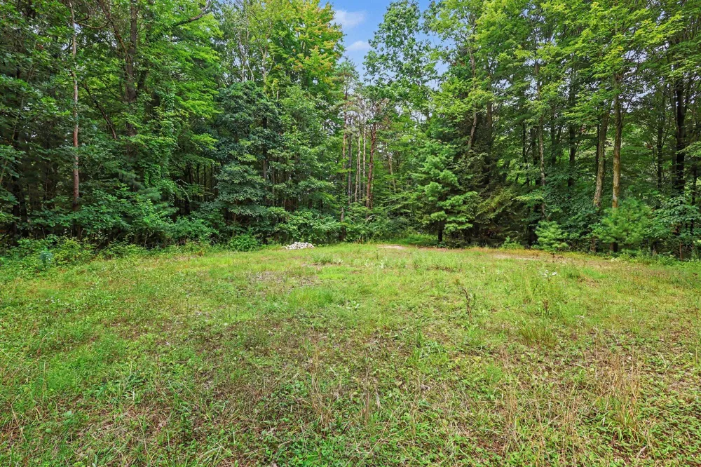 Blair Street West Olive, MI 49460