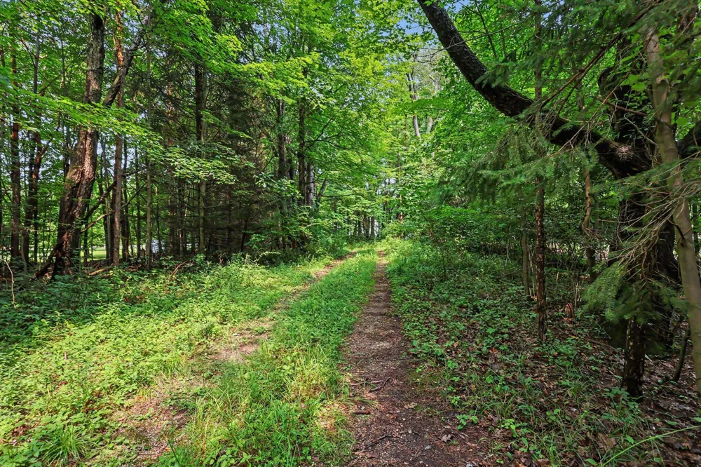 Blair Street West Olive, MI 49460