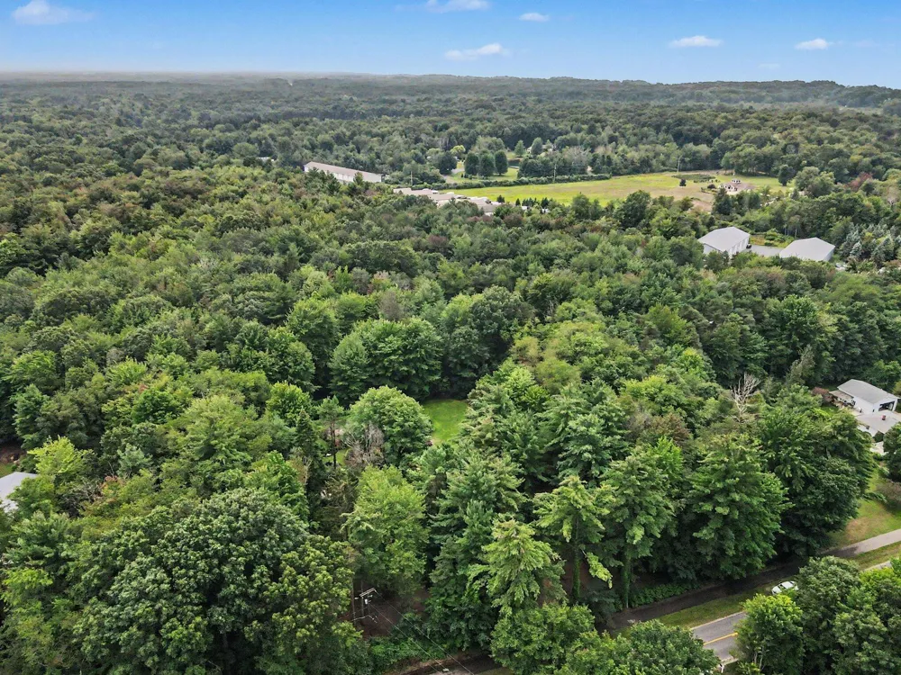 Blair Street West Olive, MI 49460