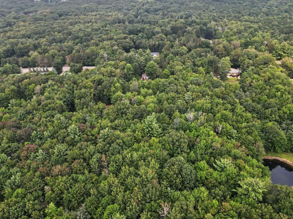 Blair Street West Olive, MI 49460