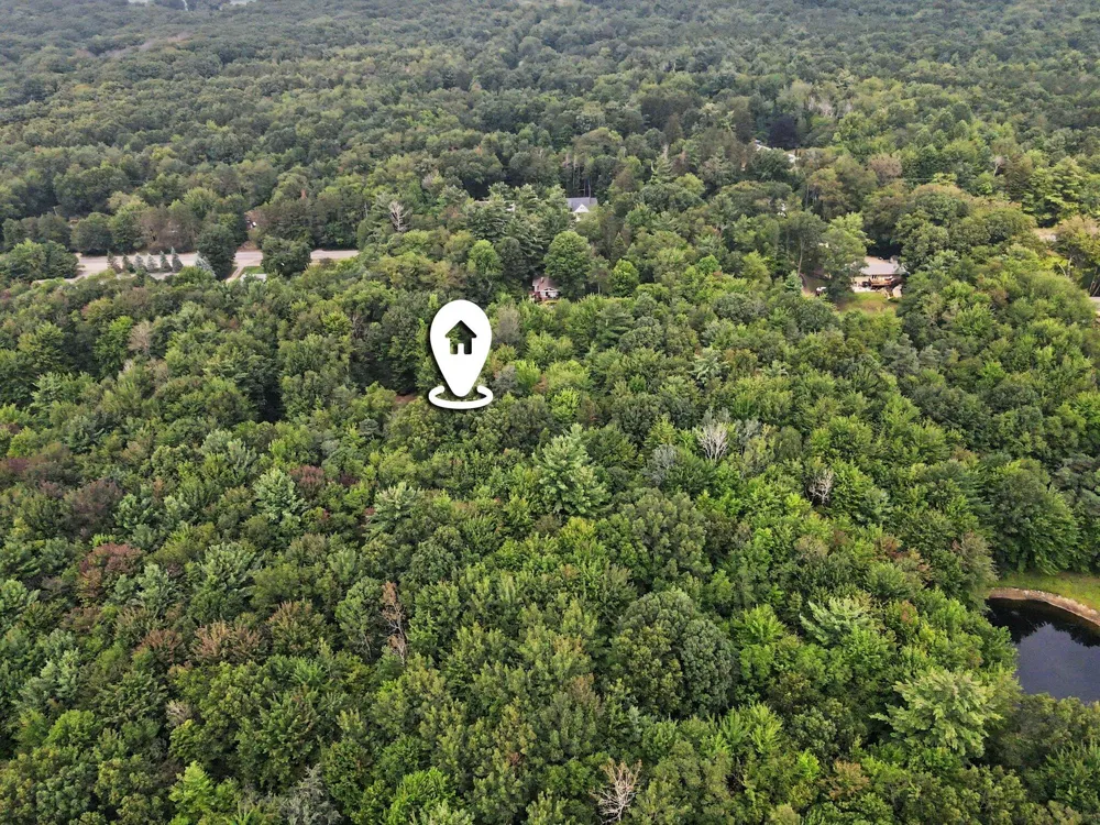Blair Street West Olive, MI 49460
