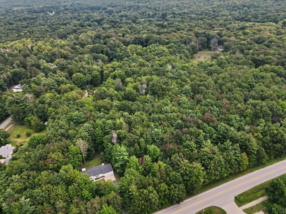 Blair Street West Olive, MI 49460
