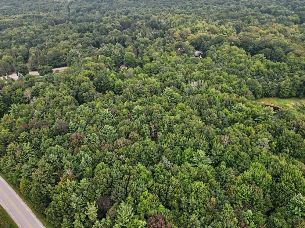 Blair Street West Olive, MI 49460