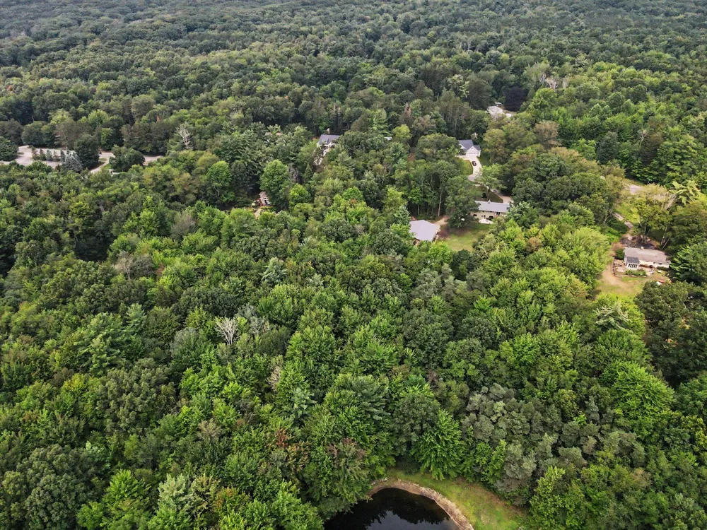 Blair Street West Olive, MI 49460