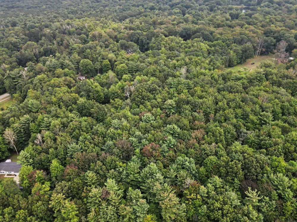 Blair Street West Olive, MI 49460
