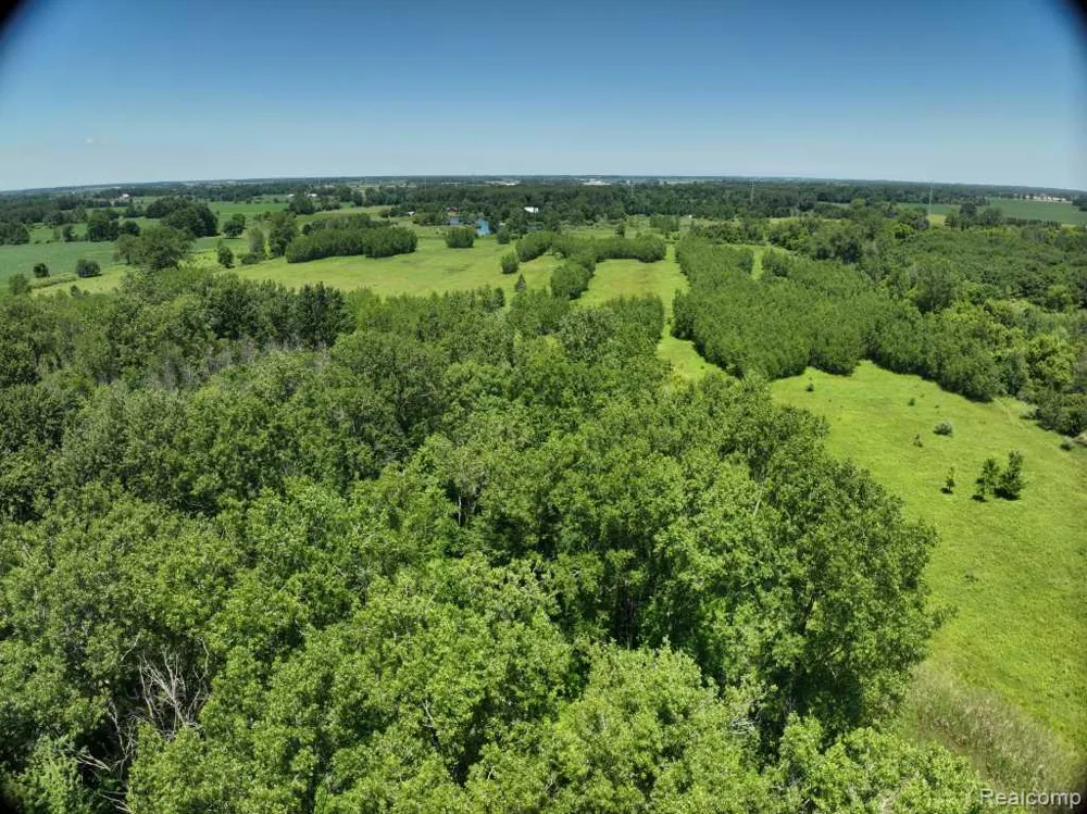 1940 Marlette Road Buel Township, MI 48401