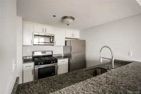 250 E Harbortown Drive #508