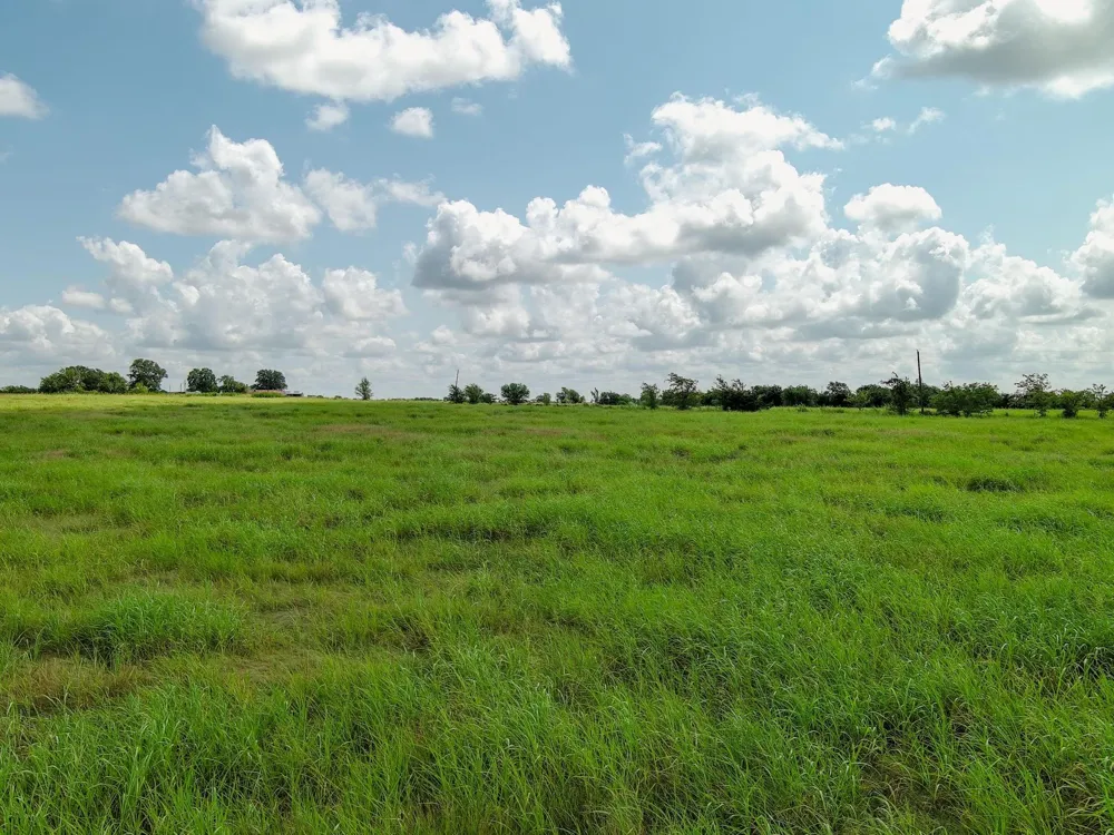 Century Farms Road Burton, TX 77835