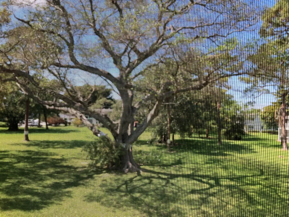 97 Ventnor E #97 Deerfield Beach, FL 33442