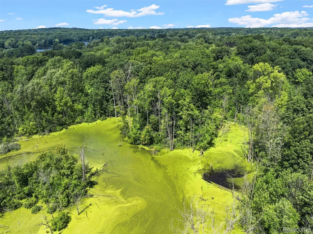 1905 Justice Drive Brandon Charter Township, MI 48462