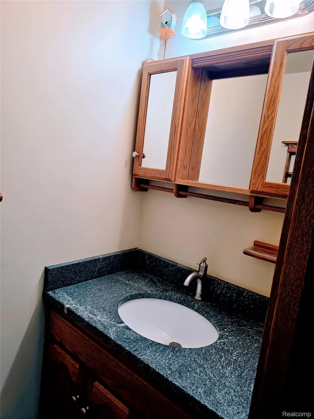 3581 Burkhart Road Howell Township, MI 48855