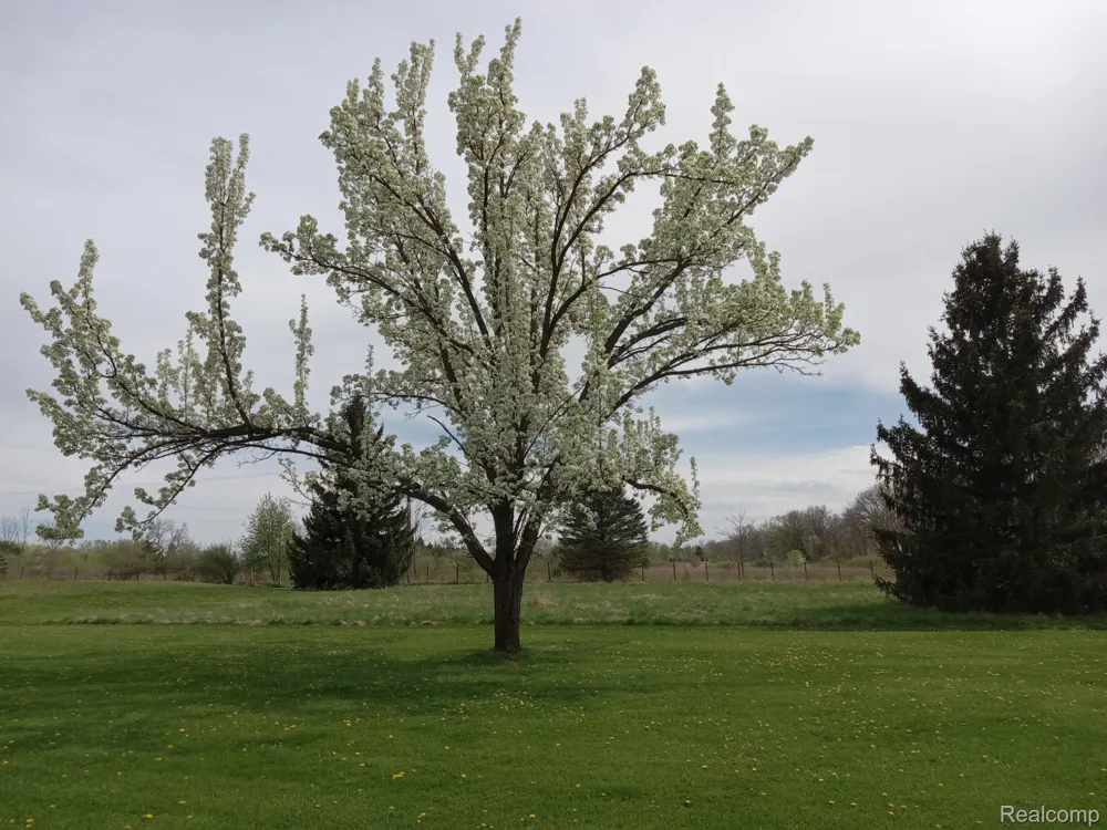 3581 Burkhart Road Howell Township, MI 48855