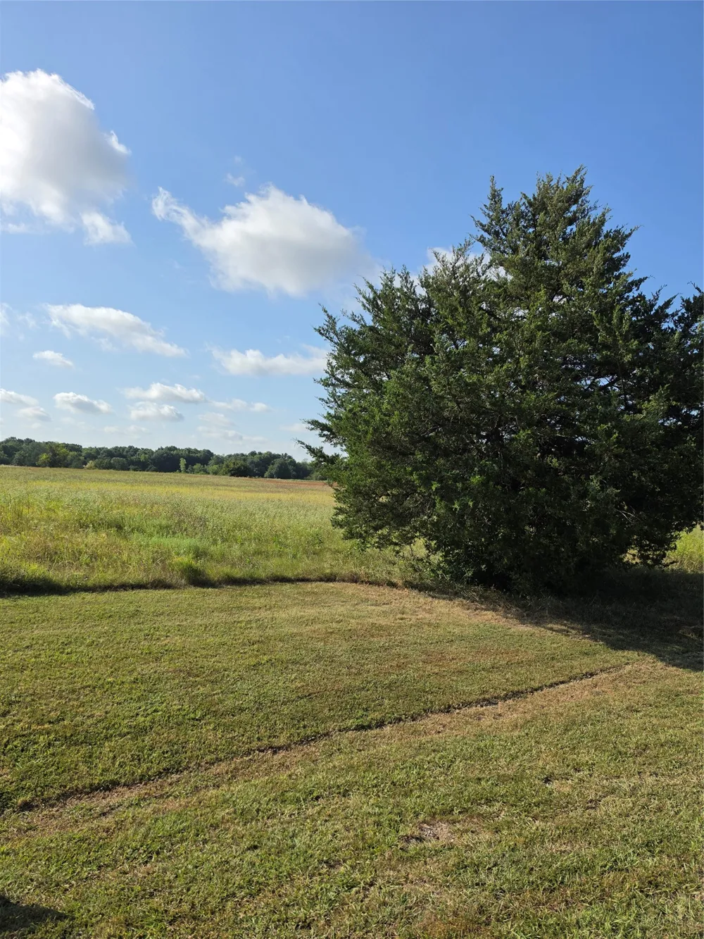 Fm 36 Farmersville, TX 75442