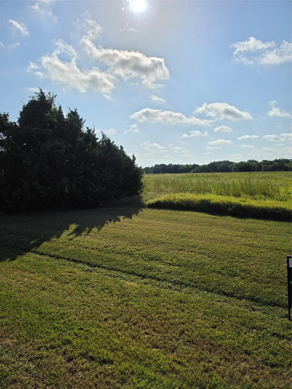 Fm 36 Farmersville, TX 75442