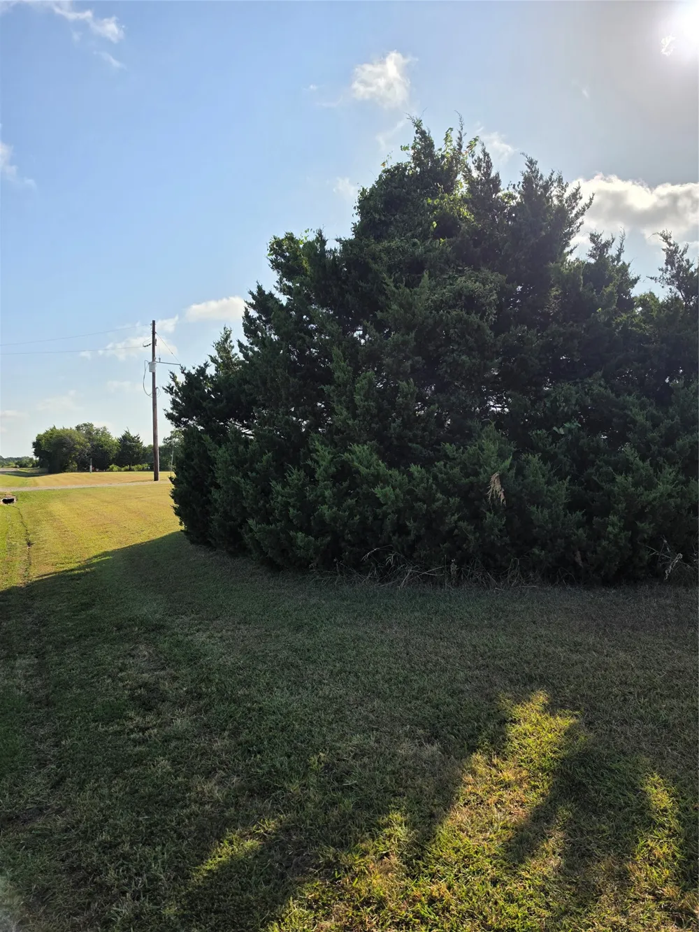 Fm 36 Farmersville, TX 75442