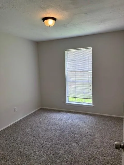 2910 Heritage House Drive Webster, TX 77598