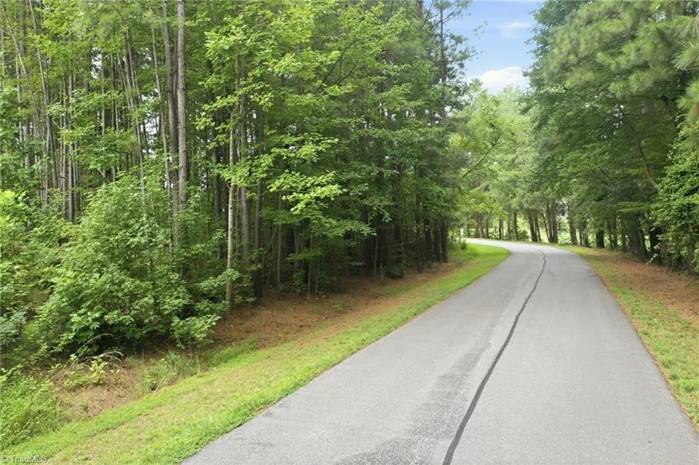 0 Oak Tree Drive Blanch, NC 27212