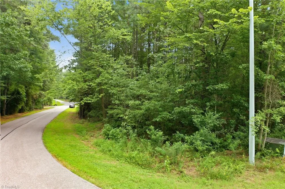 0 Oak Tree Drive Blanch, NC 27212