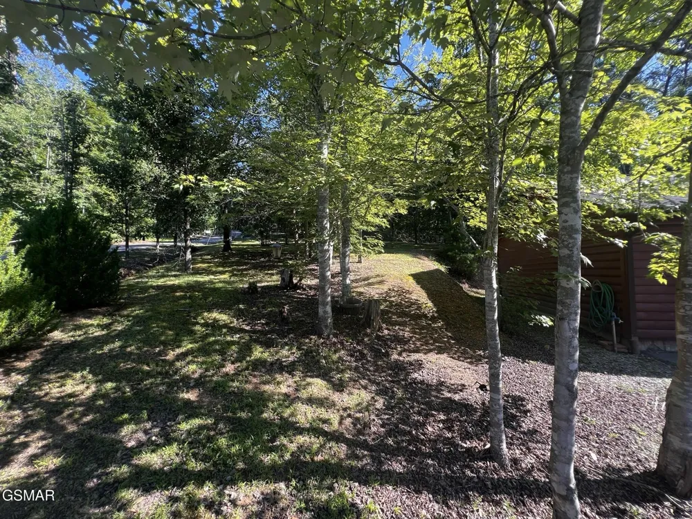 29 Scenic Woods Way Sevierville, TN 37876