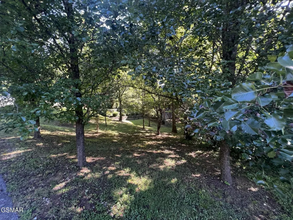 29 Scenic Woods Way Sevierville, TN 37876