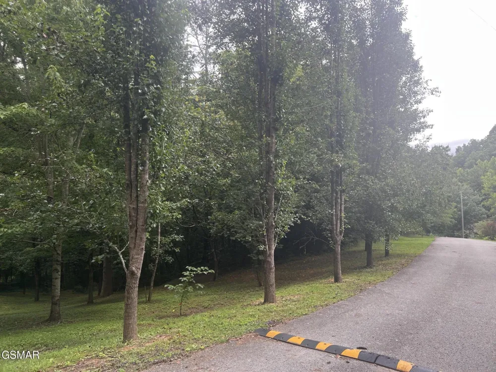 29 Scenic Woods Way Sevierville, TN 37876
