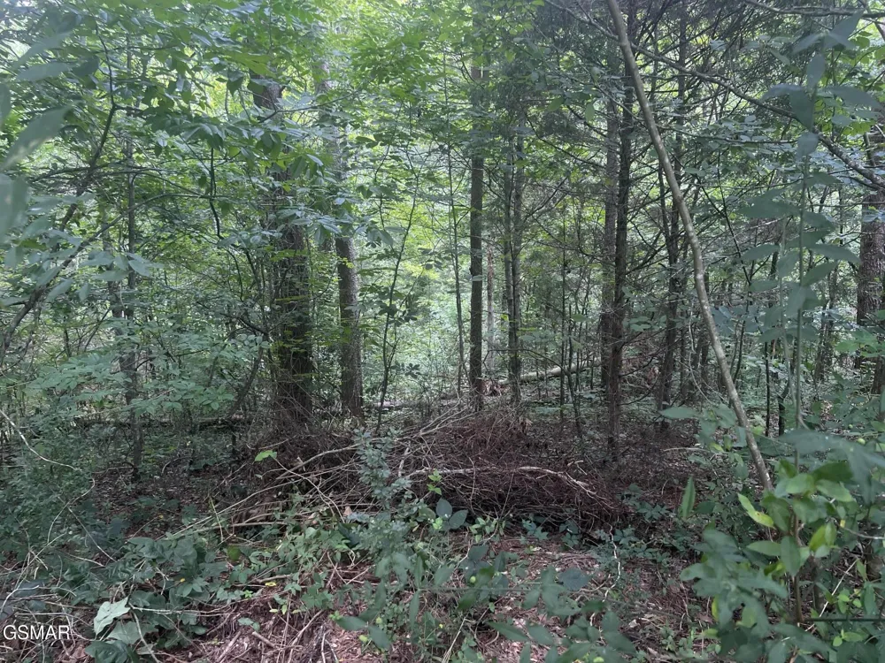 29 Scenic Woods Way Sevierville, TN 37876