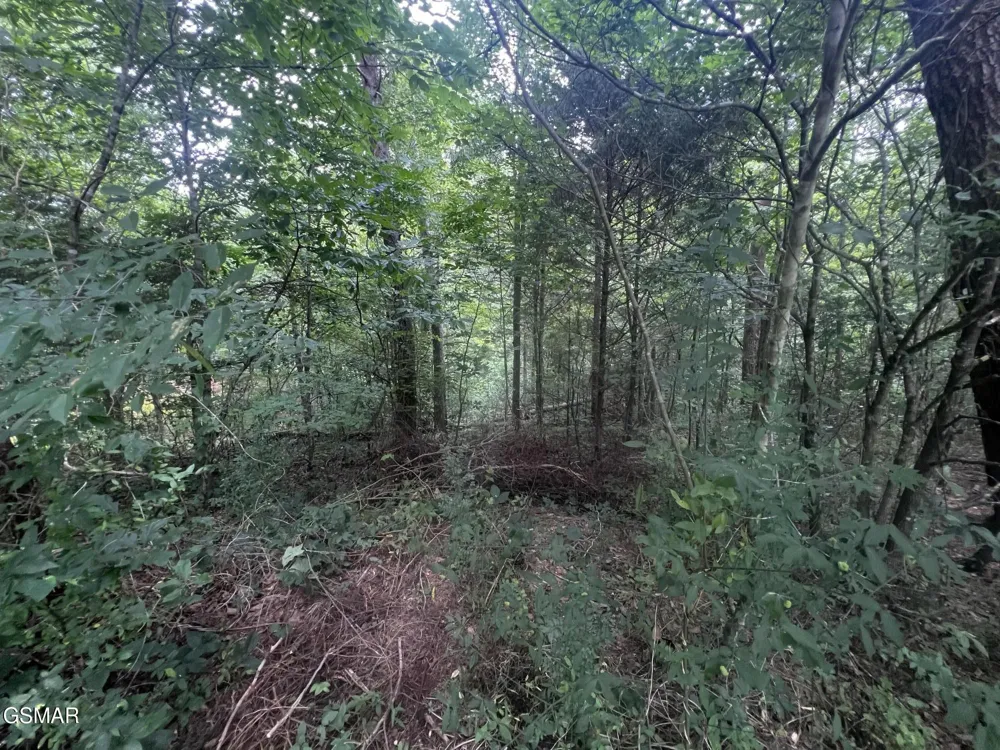29 Scenic Woods Way Sevierville, TN 37876