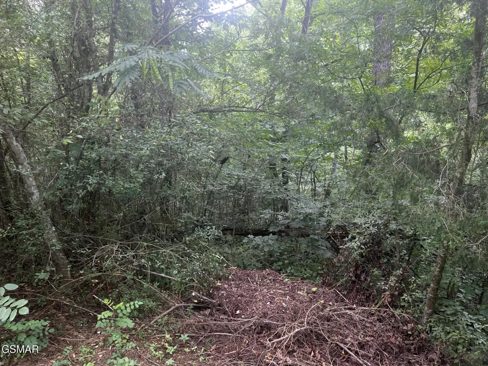 29 Scenic Woods Way Sevierville, TN 37876