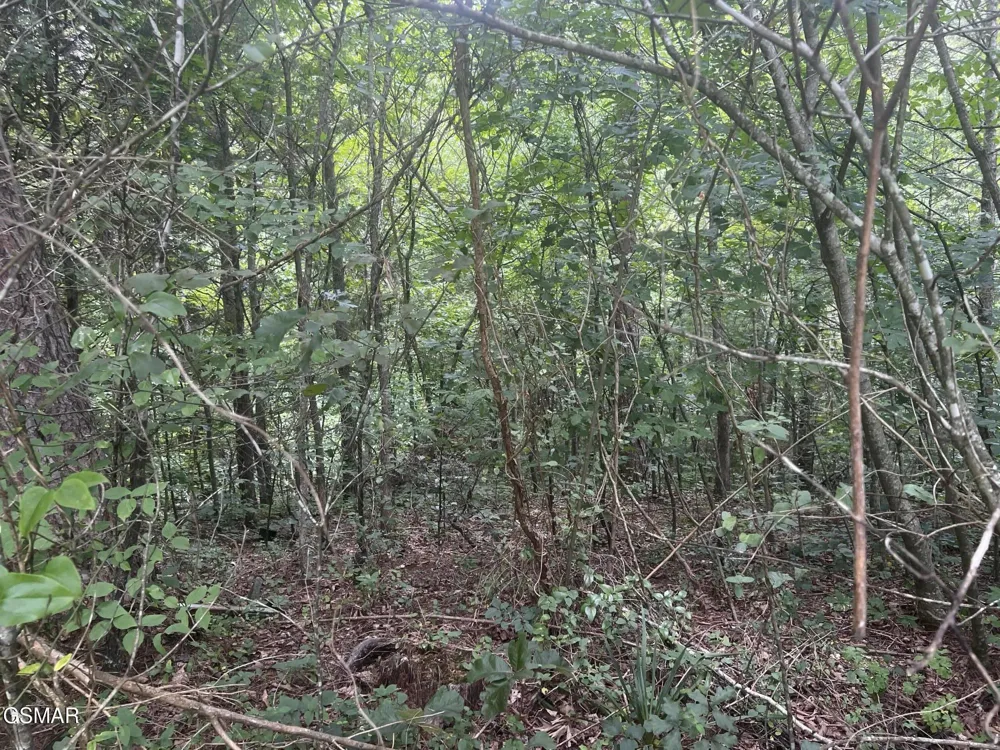 29 Scenic Woods Way Sevierville, TN 37876