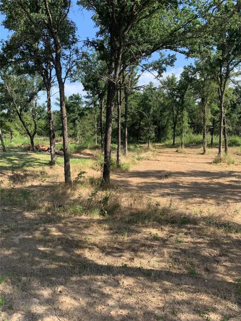 Cimmarron Trail