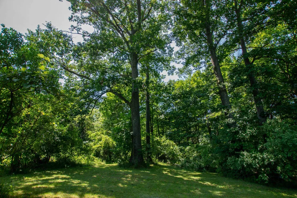 1304 S Richter Road Suttons Bay Township, MI 49682