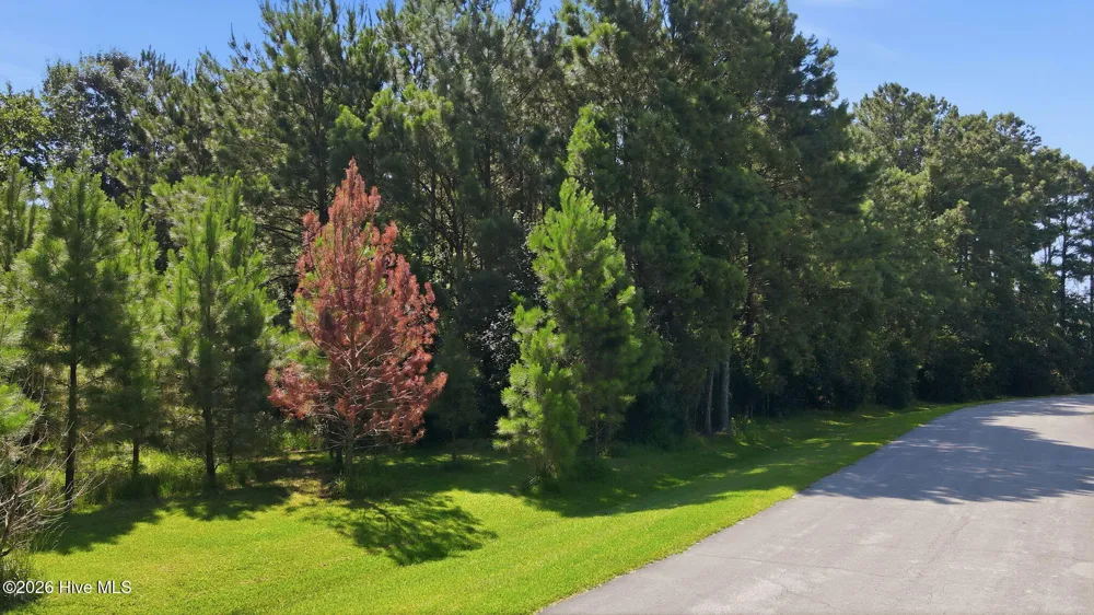 9325 Doris Drive Oriental, NC 28571