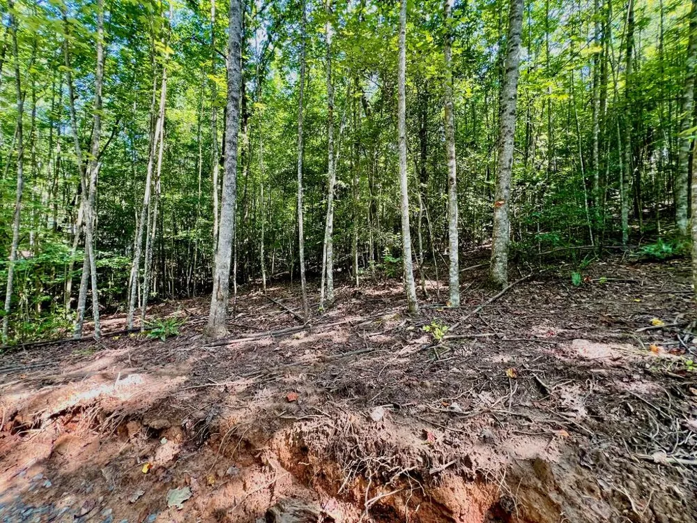 #2 Afton Road Dawsonville, GA 30534
