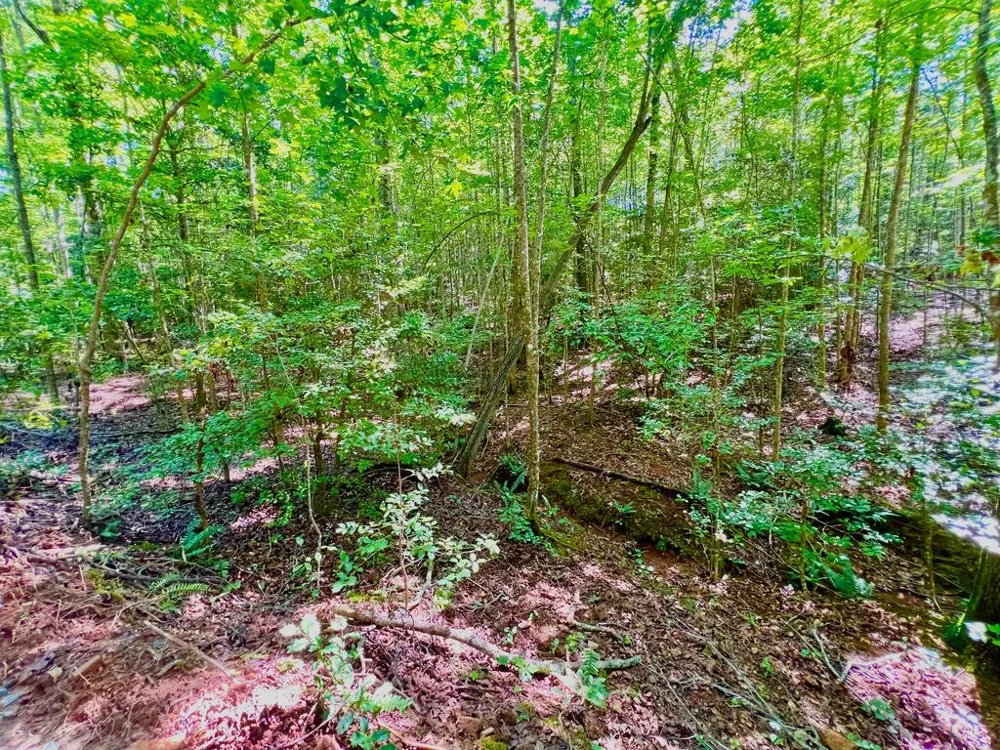 #2 Afton Road Dawsonville, GA 30534