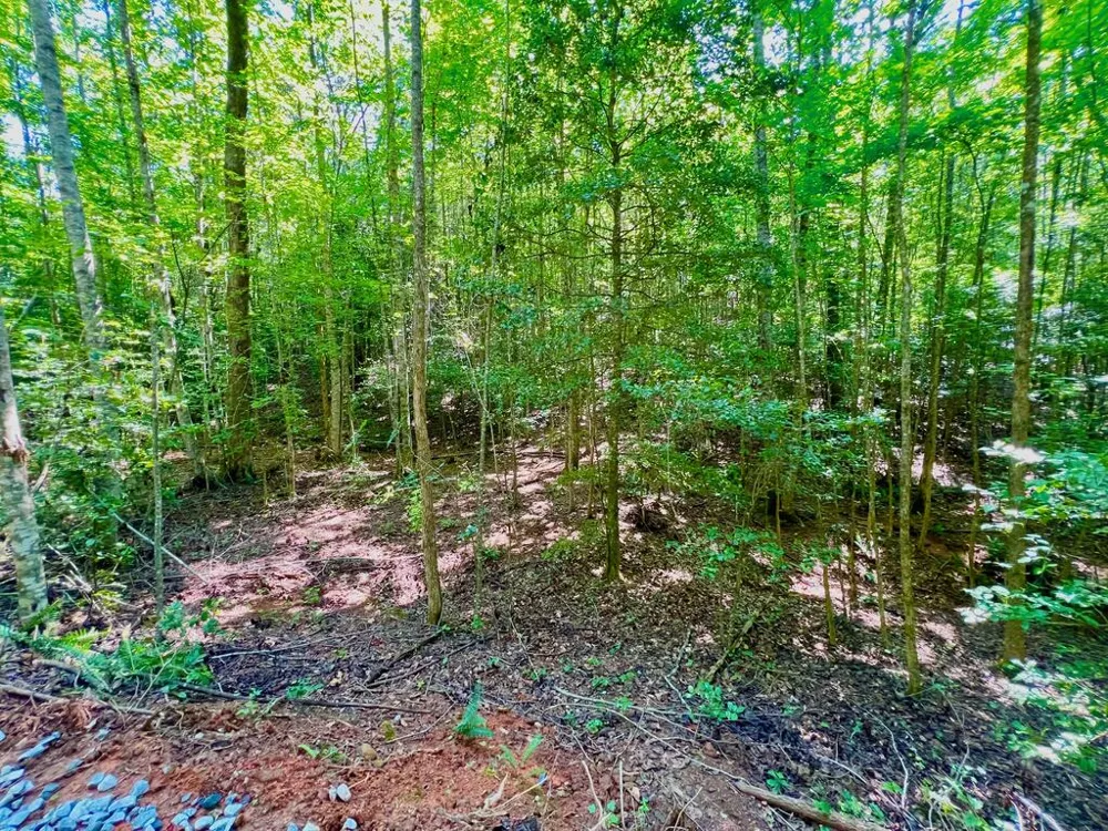 #2 Afton Road Dawsonville, GA 30534