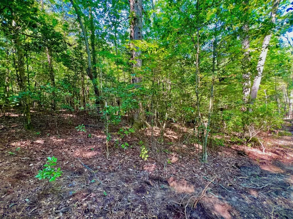 #2 Afton Road Dawsonville, GA 30534