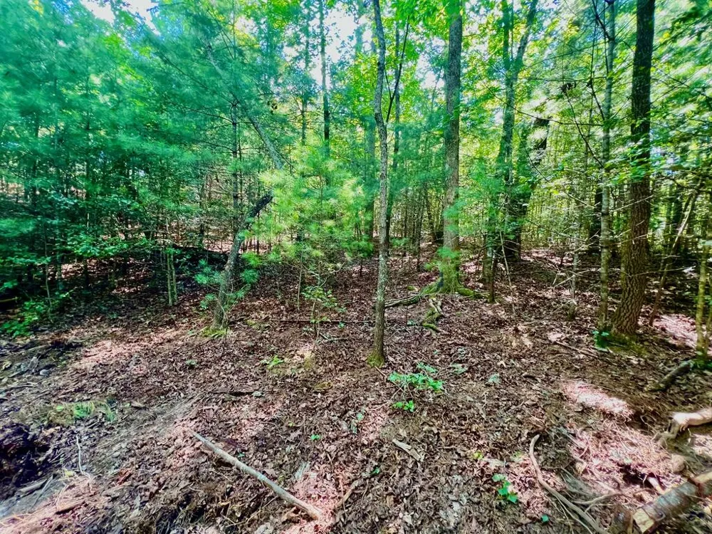 #2 Afton Road Dawsonville, GA 30534