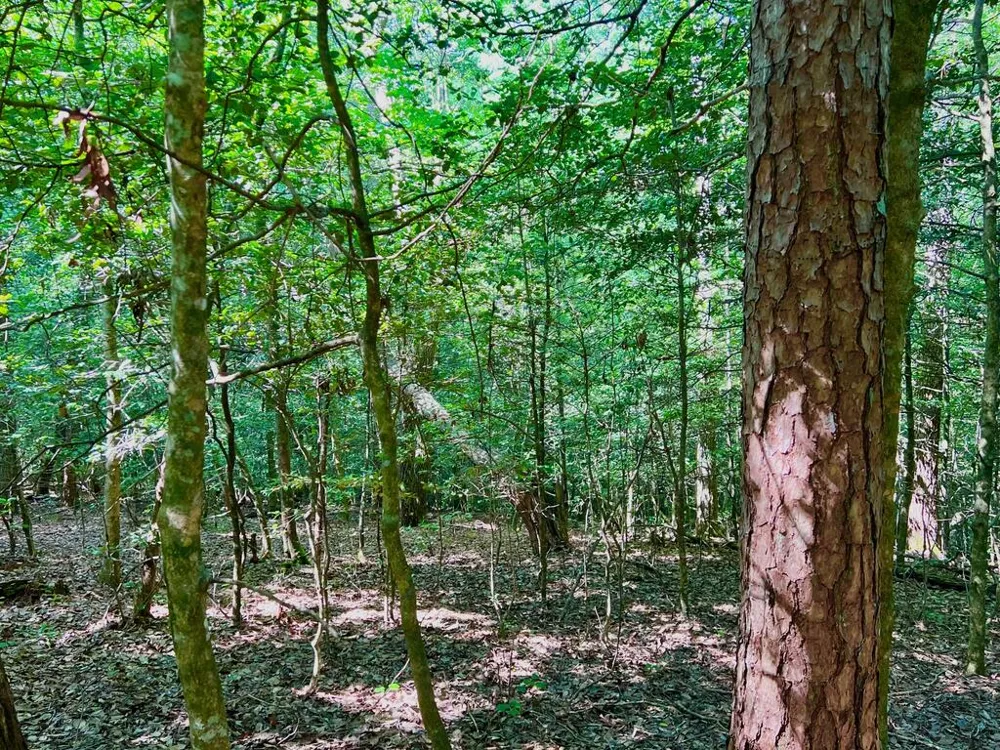 #2 Afton Road Dawsonville, GA 30534