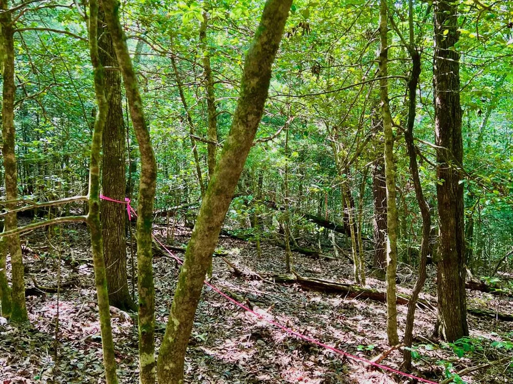 #2 Afton Road Dawsonville, GA 30534