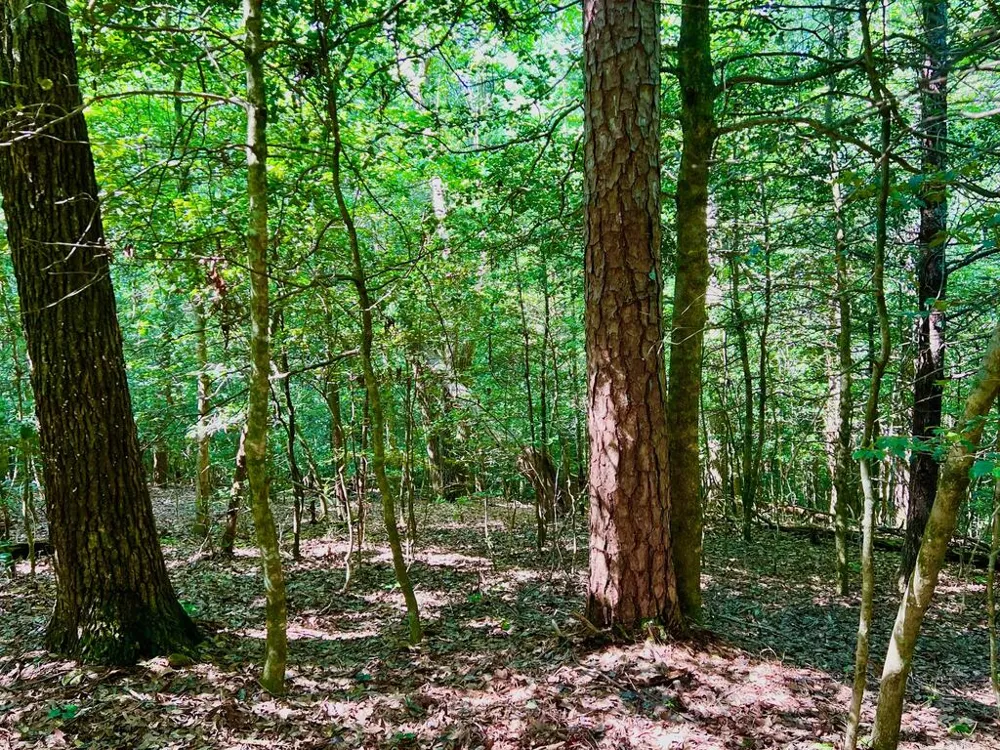#2 Afton Road Dawsonville, GA 30534
