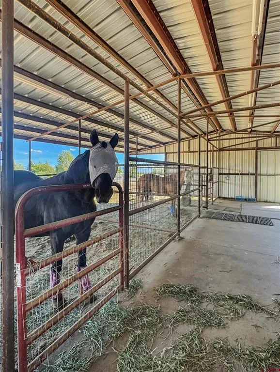 21739 Road S Cortez, CO 81321