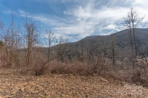Tilley Creek Rd TR2