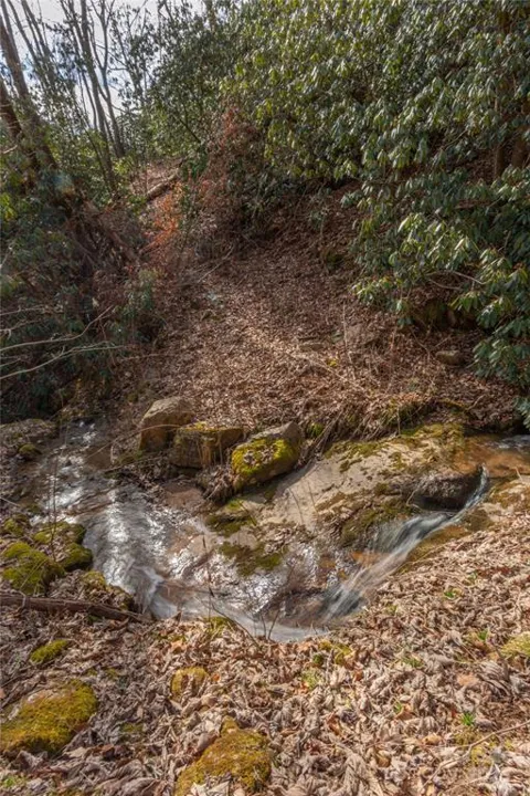 Tilley Creek Rd, Tract 1