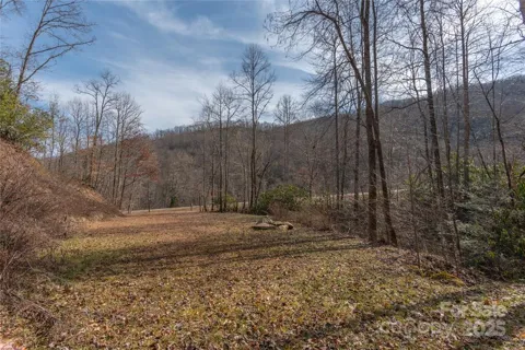 Tilley Creek Rd, Tracts 1 & 2