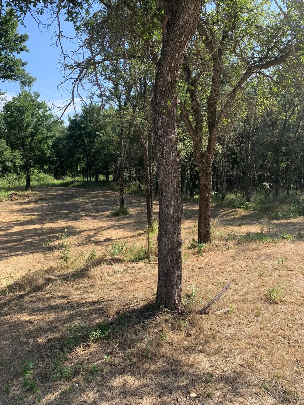 Cimmarron Trail Runaway Bay, TX 76426