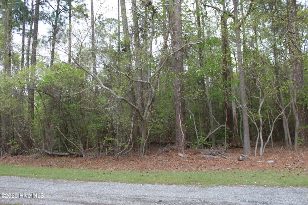305/307 Yakima Trail Edenton, NC 27932